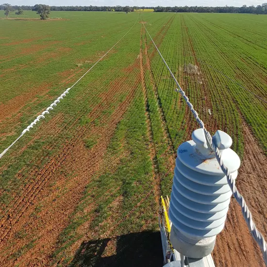 Tomingley Gold